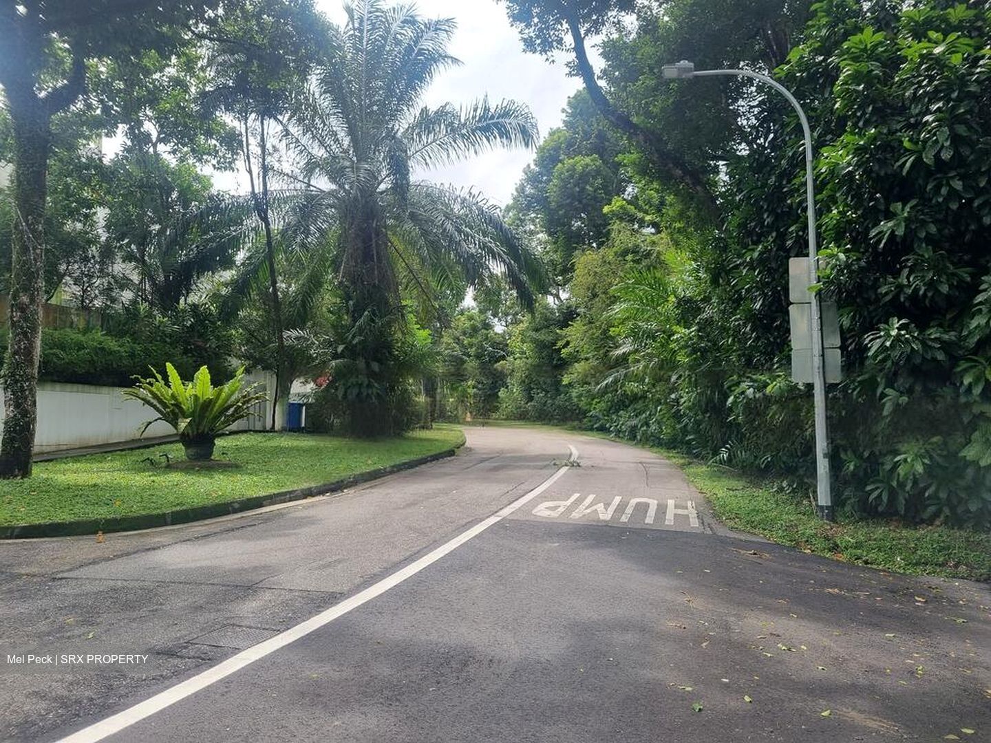 Holland Avenue (D10), Detached #601454741